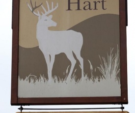 White Hart, Andover by Marston's Inns