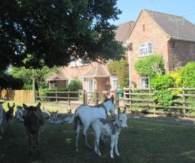 Hops Main House New Forest